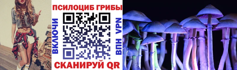 кракен зеркало  Благовещенск  Псилоцибиновые грибы Psilocybine cubensis 